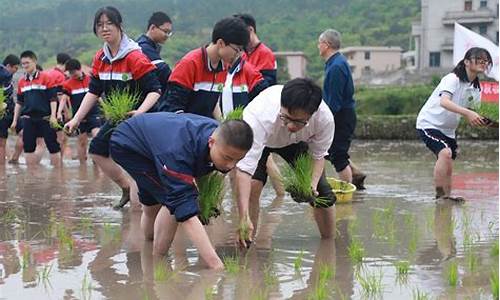 春耕秋收一年过是什么生肖-春种秋收年年好四季耕耘五谷丰打一生肖